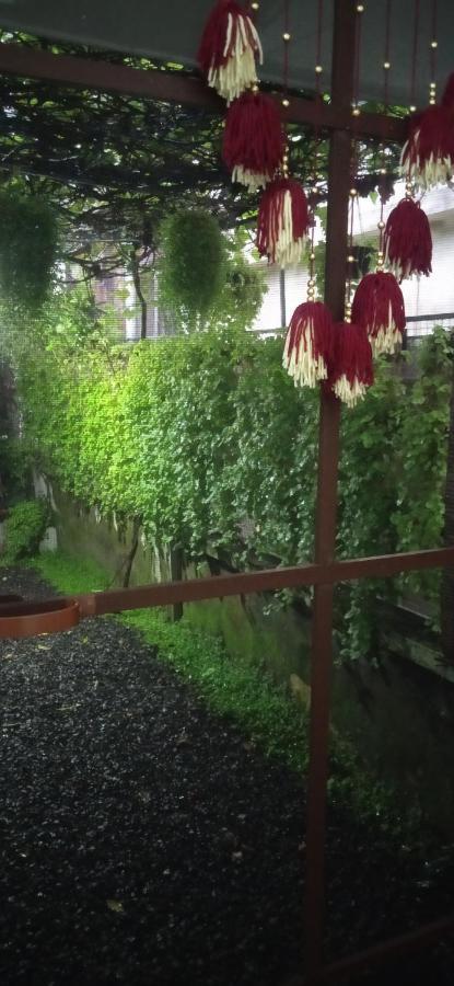 ホテル Bethel Residency Kochi エクステリア 写真