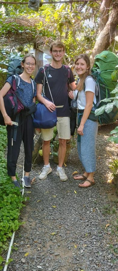 ホテル Bethel Residency Kochi エクステリア 写真